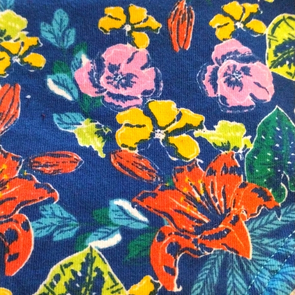 E New Rene rofe 5pack hipster size XL with 2 scrunchies - Picture 4 of 8